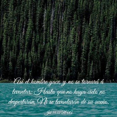 Picture 03 - Job 14:12 RVA - Así el hombre yace, y no se tornará á - Bible Verse Picture