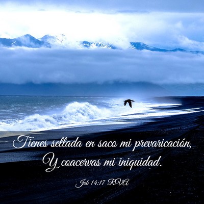 Picture 03 - Job 14:17 RVA - Tienes sellada en saco mi prevaricación, Y - Bible Verse Picture