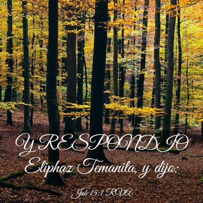 Picture 03 - Job 15:1 RVA - Y RESPONDIO Eliphaz Temanita, y - Bible Verse Picture