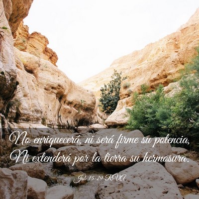 Picture 03 - Job 15:29 RVA - No enriquecerá, ni será firme su potencia, Ni - Bible Verse Picture