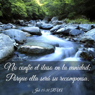Picture 03 - Job 15:31 RVA - No confíe el iluso en la vanidad; Porque ella - Bible Verse Picture