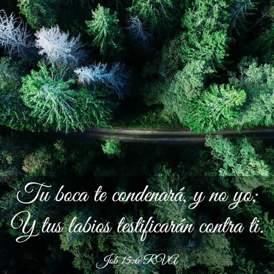 Picture 03 - Job 15:6 RVA - Tu boca te condenará, y no yo; Y tus labios - Bible Verse Picture