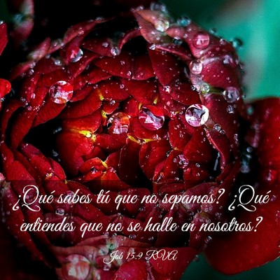 Picture 03 - Job 15:9 RVA - ¿Qué sabes tú que no sepamos? ¿Qué entiendes - Bible Verse Picture