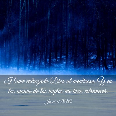 Picture 03 - Job 16:11 RVA - Hame entregado Dios al mentiroso, Y en las manos - Bible Verse Picture