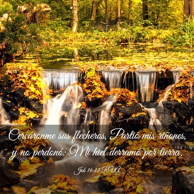 Picture 03 - Job 16:13 RVA - Cercáronme sus flecheros, Partió mis riñones, - Bible Verse Picture