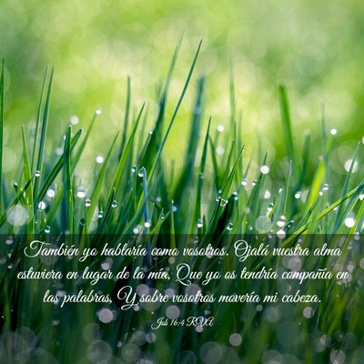 Picture 03 - Job 16:4 RVA - También yo hablaría como vosotros. Ojalá - Bible Verse Picture