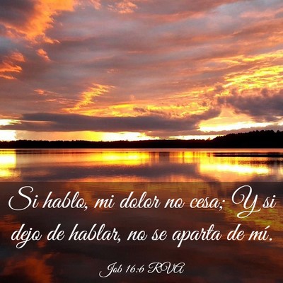 Picture 03 - Job 16:6 RVA - Si hablo, mi dolor no cesa; Y si dejo de hablar, - Bible Verse Picture