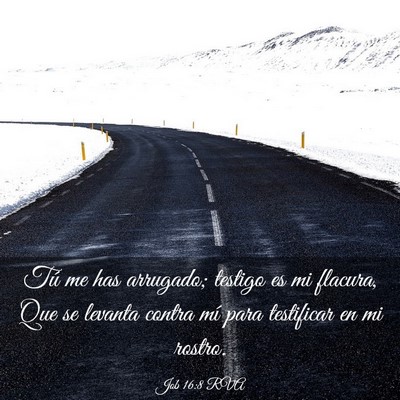 Picture 03 - Job 16:8 RVA - Tú me has arrugado; testigo es mi flacura, Que - Bible Verse Picture