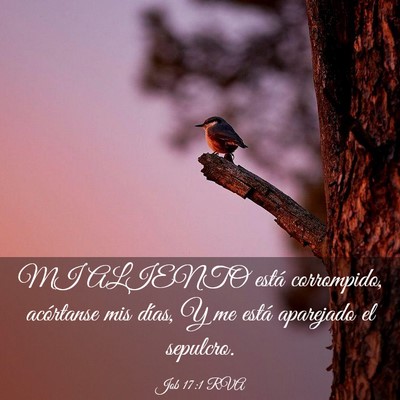 Picture 03 - Job 17:1 RVA - MI ALIENTO está corrompido, acórtanse mis - Bible Verse Picture