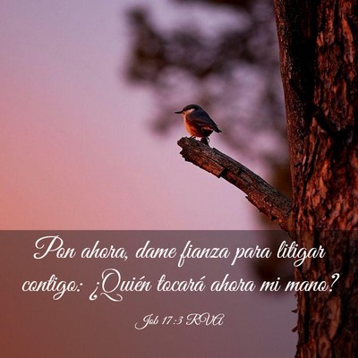 Picture 03 - Job 17:3 RVA - Pon ahora, dame fianza para litigar contigo: - Bible Verse Picture