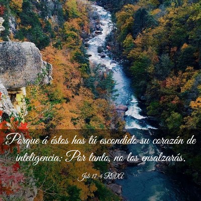 Picture 03 - Job 17:4 RVA - Porque á éstos has tú escondido su corazón de - Bible Verse Picture