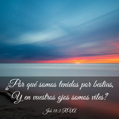 Picture 03 - Job 18:3 RVA - ¿Por qué somos tenidos por bestias, Y en - Bible Verse Picture