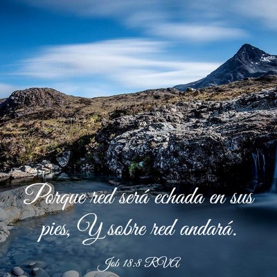 Picture 03 - Job 18:8 RVA - Porque red será echada en sus pies, Y sobre red - Bible Verse Picture