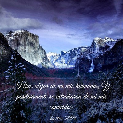 Picture 03 - Job 19:13 RVA - Hizo alejar de mí mis hermanos, Y positivamente - Bible Verse Picture