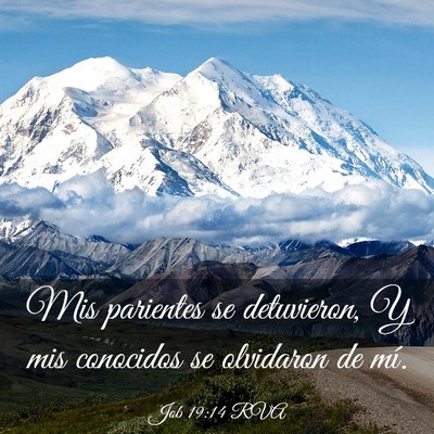 Picture 03 - Job 19:14 RVA - Mis parientes se detuvieron, Y mis conocidos se - Bible Verse Picture