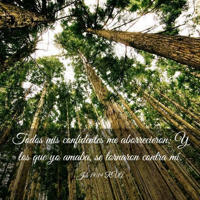 Picture 03 - Job 19:19 RVA - Todos mis confidentes me aborrecieron; Y los que - Bible Verse Picture
