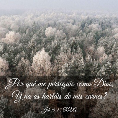 Picture 03 - Job 19:22 RVA - ¿Por qué me perseguís como Dios, Y no os - Bible Verse Picture