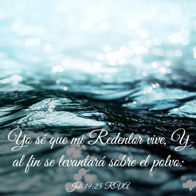 Picture 03 - Job 19:25 RVA - Yo sé que mi Redentor vive, Y al fin se - Bible Verse Picture