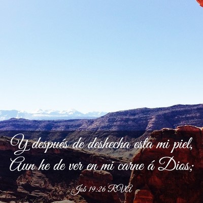 Picture 03 - Job 19:26 RVA - Y después de deshecha esta mi piel, Aun he de - Bible Verse Picture