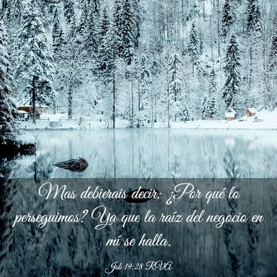 Picture 03 - Job 19:28 RVA - Mas debierais decir: ¿Por qué lo perseguimos? - Bible Verse Picture