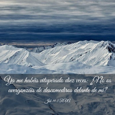 Picture 03 - Job 19:3 RVA - Ya me habéis vituperado diez veces: ¿No os - Bible Verse Picture