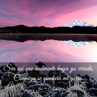Picture 03 - Job 19:4 RVA - Sea así que realmente haya yo errado, Conmigo se - Bible Verse Picture