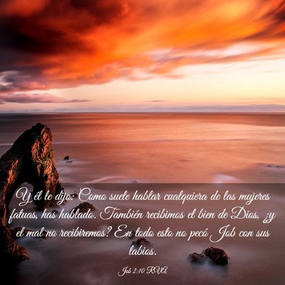 Picture 03 - Job 2:10 RVA - Y él le dijo: Como suele hablar cualquiera de - Bible Verse Picture
