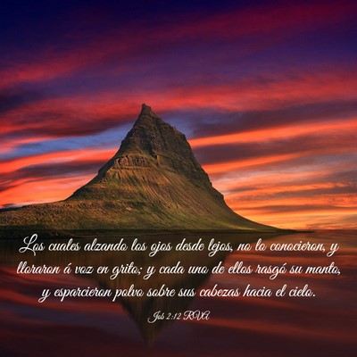 Picture 03 - Job 2:12 RVA - Los cuales alzando los ojos desde lejos, no lo - Bible Verse Picture