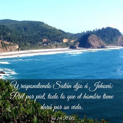 Picture 03 - Job 2:4 RVA - Y respondiendo Satán dijo á Jehová: Piel por - Bible Verse Picture