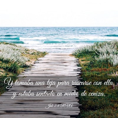 Picture 03 - Job 2:8 RVA - Y tomaba una teja para rascarse con ella, y - Bible Verse Picture