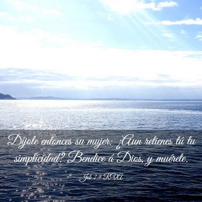 Picture 03 - Job 2:9 RVA - Díjole entonces su mujer: ¿Aun retienes tú tu - Bible Verse Picture