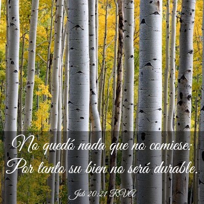 Picture 03 - Job 20:21 RVA - No quedó nada que no comiese: Por tanto su bien - Bible Verse Picture