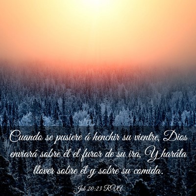 Picture 03 - Job 20:23 RVA - Cuando se pusiere á henchir su vientre, Dios - Bible Verse Picture