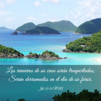 Picture 03 - Job 20:28 RVA - Los renuevos de su casa serán trasportados; - Bible Verse Picture