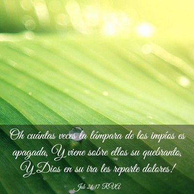 Picture 03 - Job 21:17 RVA - Oh cuántas veces la lámpara de los impíos es - Bible Verse Picture