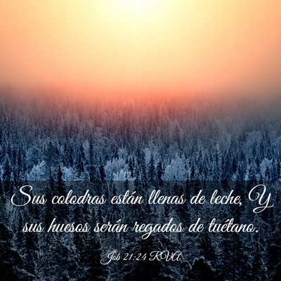 Picture 03 - Job 21:24 RVA - Sus colodras están llenas de leche, Y sus huesos - Bible Verse Picture