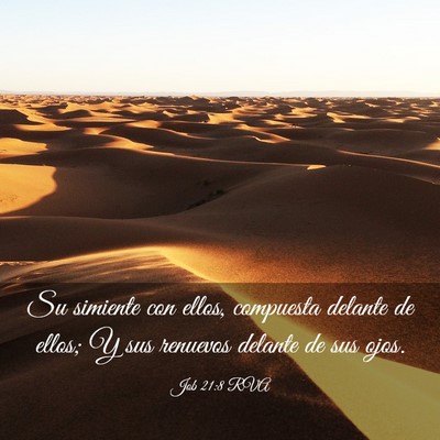 Picture 03 - Job 21:8 RVA - Su simiente con ellos, compuesta delante de - Bible Verse Picture