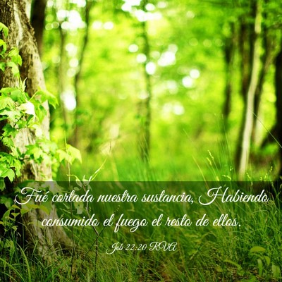Picture 03 - Job 22:20 RVA - Fué cortada nuestra sustancia, Habiendo - Bible Verse Picture