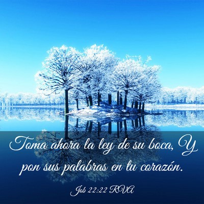 Picture 03 - Job 22:22 RVA - Toma ahora la ley de su boca, Y pon sus palabras - Bible Verse Picture