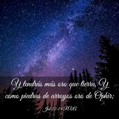 Picture 03 - Job 22:24 RVA - Y tendrás más oro que tierra, Y como piedras de - Bible Verse Picture