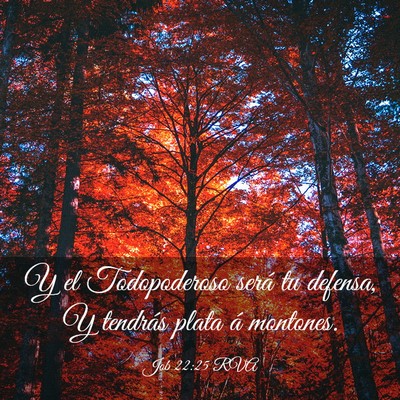 Picture 03 - Job 22:25 RVA - Y el Todopoderoso será tu defensa, Y tendrás - Bible Verse Picture