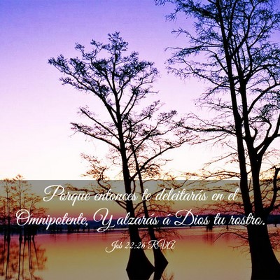Picture 03 - Job 22:26 RVA - Porque entonces te deleitarás en el Omnipotente, - Bible Verse Picture
