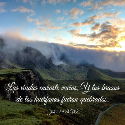 Picture 03 - Job 22:9 RVA - Las viudas enviaste vacías, Y los brazos de los - Bible Verse Picture