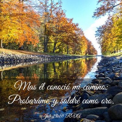Picture 03 - Job 23:10 RVA - Mas él conoció mi camino: Probaráme, y saldré - Bible Verse Picture
