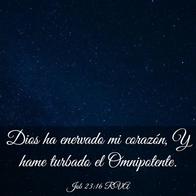 Picture 03 - Job 23:16 RVA - Dios ha enervado mi corazón, Y hame turbado el - Bible Verse Picture