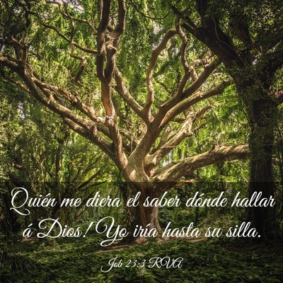 Picture 03 - Job 23:3 RVA - Quién me diera el saber dónde hallar á Dios! - Bible Verse Picture