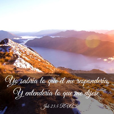 Picture 03 - Job 23:5 RVA - Yo sabría lo que él me respondería, Y - Bible Verse Picture