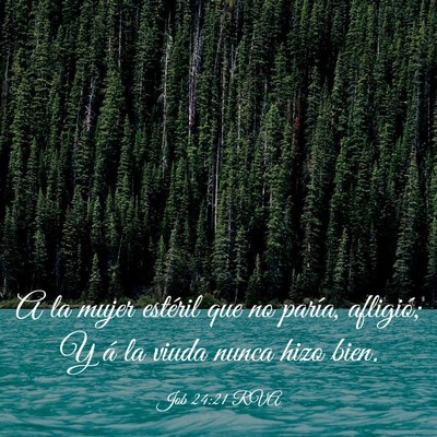 Picture 03 - Job 24:21 RVA - A la mujer estéril que no paría, afligió; Y á - Bible Verse Picture