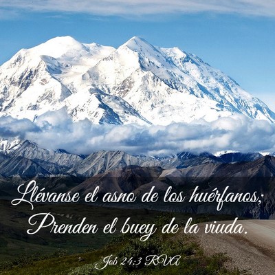 Picture 03 - Job 24:3 RVA - Llévanse el asno de los huérfanos; Prenden el - Bible Verse Picture