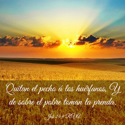 Picture 03 - Job 24:9 RVA - Quitan el pecho á los huérfanos, Y de sobre el - Bible Verse Picture